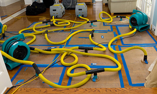 Professional Crawl Space Water Removal technician working in Secaucus, NJ